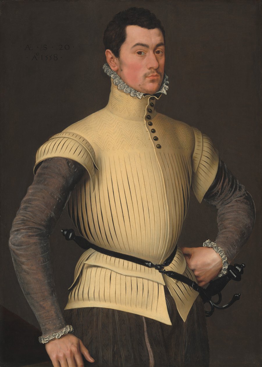 Nuoren miehen muotokuva, 1558. tekijältä Unbekannt