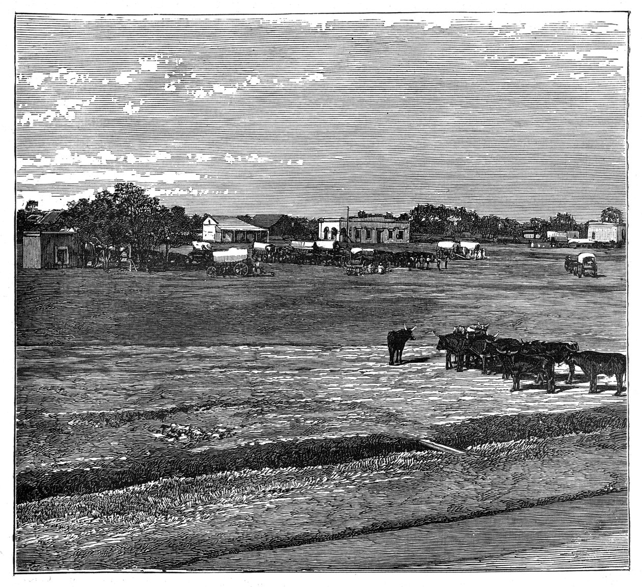 Potchefstroom, Transvaal, Etelä-Afrikka, c1890 tekijältä Unbekannt