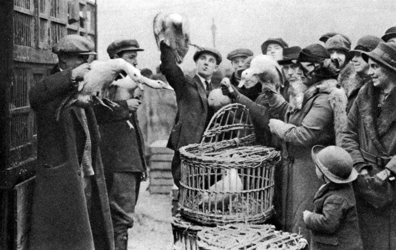 Siipikarjakauppiaat, Caledonian Market, Lontoo, 1926-1927 tekijältä Unbekannt