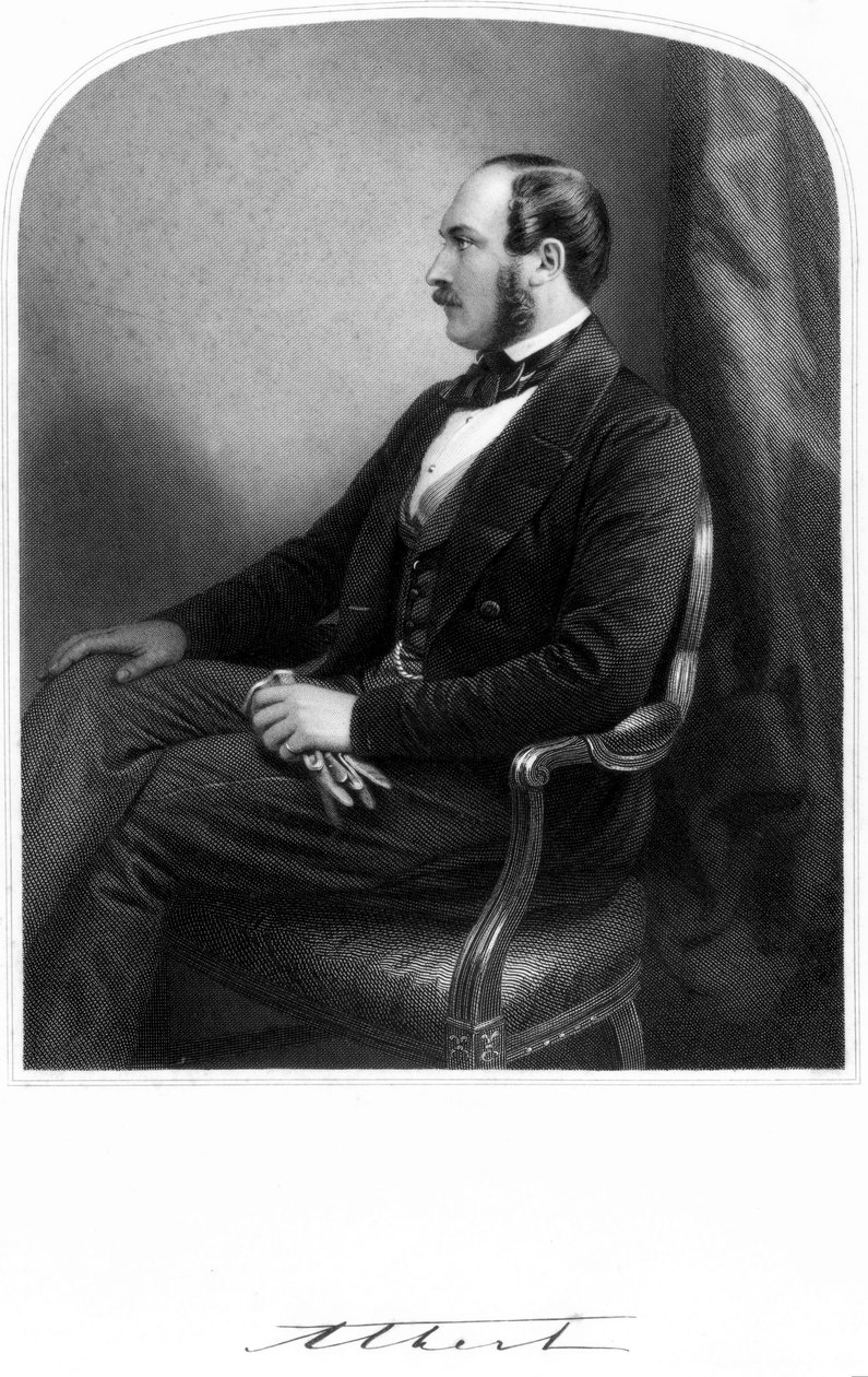 Prinssi Albert, kuningatar Victorian puoliso, n. 1850-1859 tekijältä Unbekannt