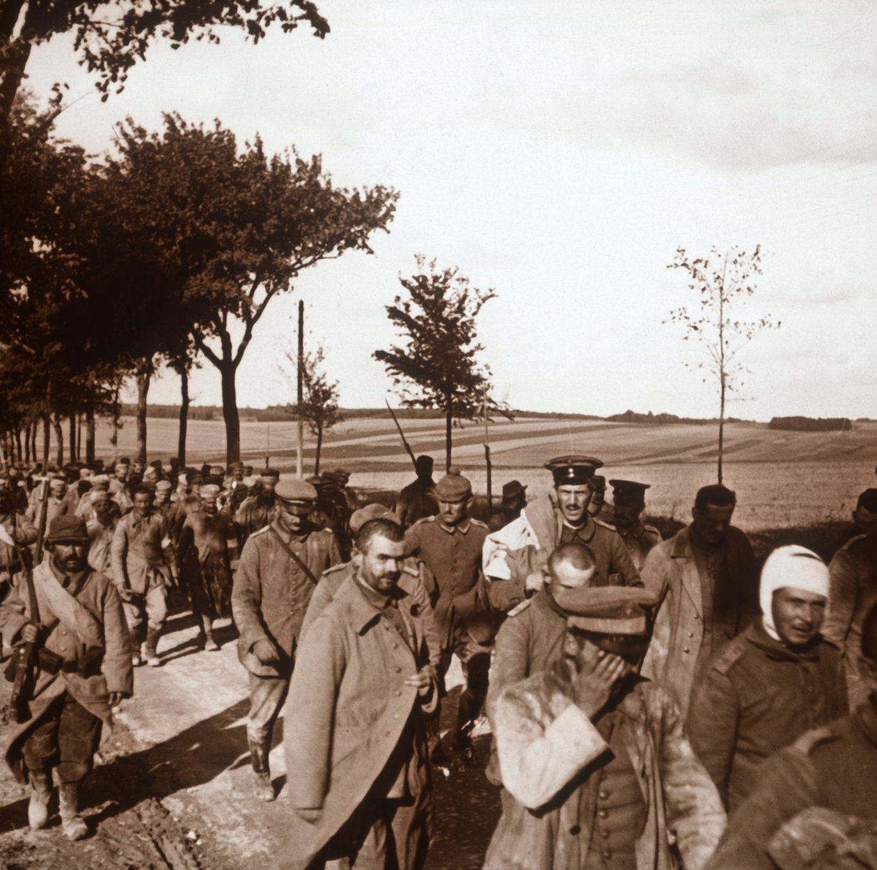 Prisoners, Champagne, Pohjois-Ranska, c1914-c1918 tekijältä Unbekannt