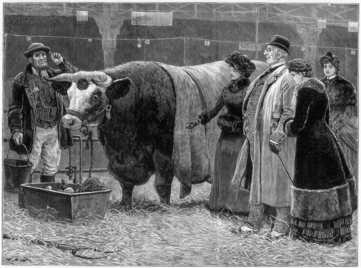 Palkintohärkä, 1883 tekijältä Unbekannt