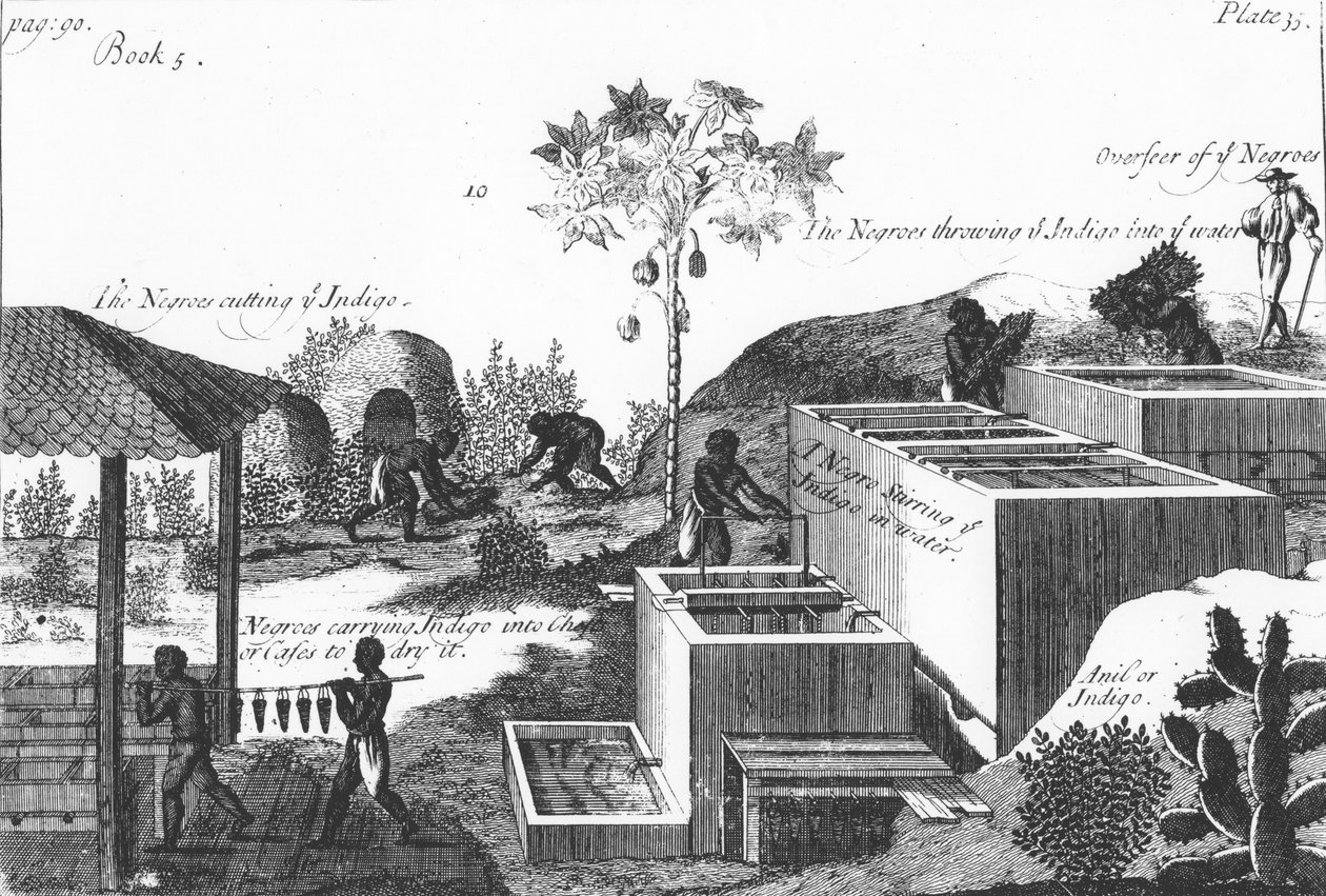Indigovärin valmistus orjatyöllä: Länsi-Intia tai Keski-Amerikka, 1725 tekijältä Unbekannt