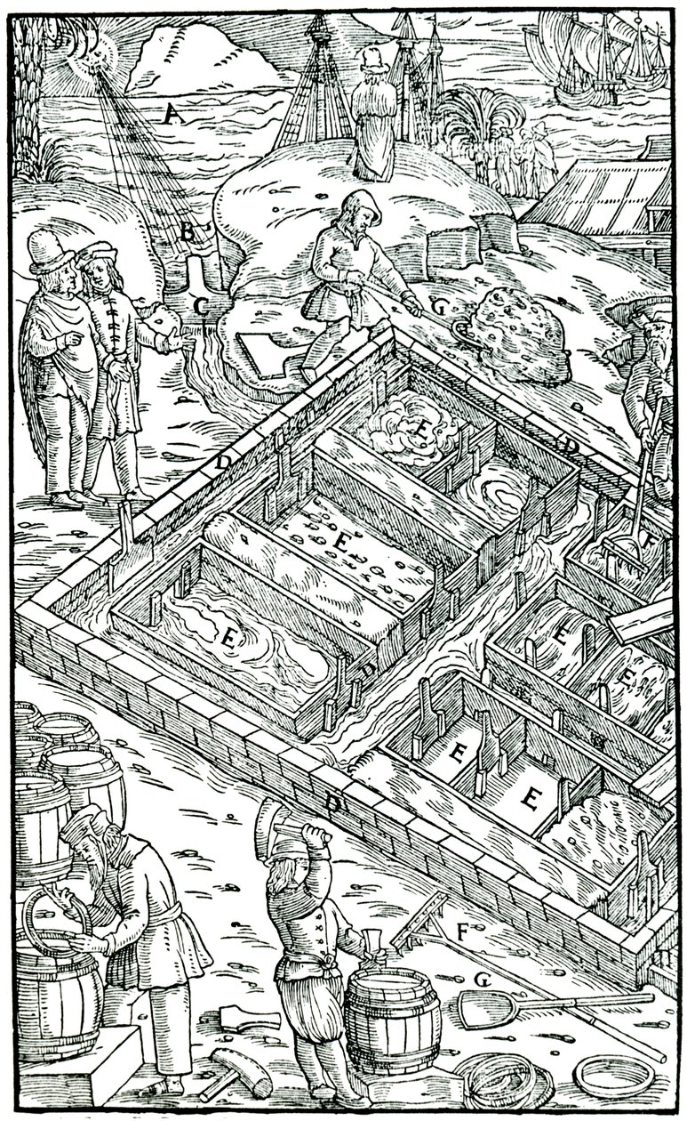 Suolan valmistus haihduttamalla merivettä suolaaltaissa, 1556 tekijältä Unbekannt