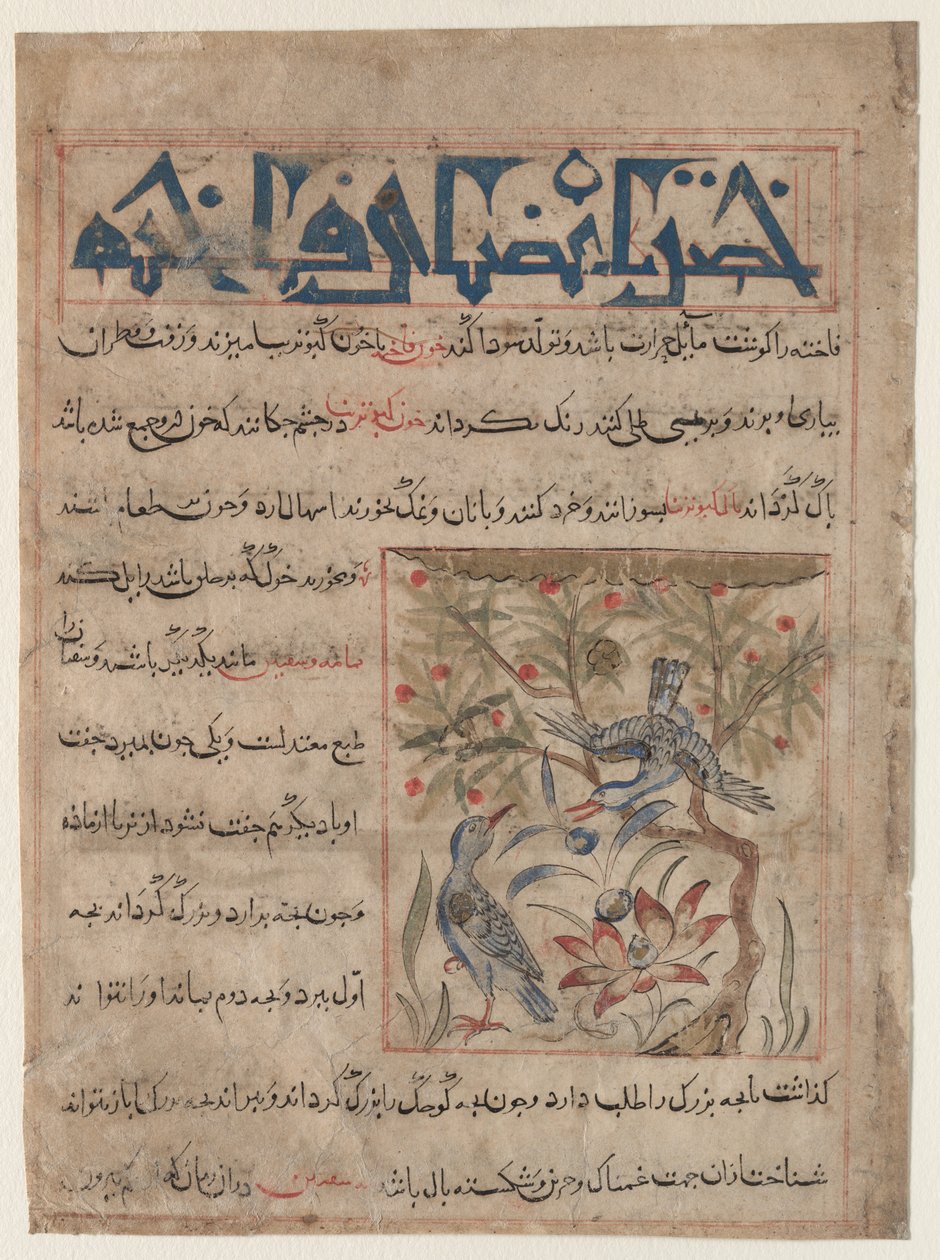 Ringdoves recton ominaisuudet, Viiriäisten hyödyistä verso..., c. 1300. tekijältä Unbekannt