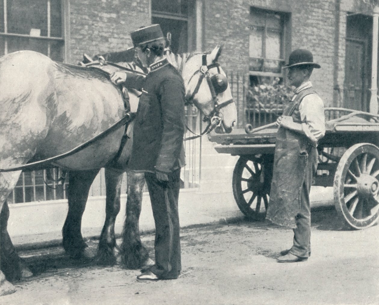 RSPCA-tarkastaja tutkii hevosta, c1903 1903 tekijältä Unbekannt