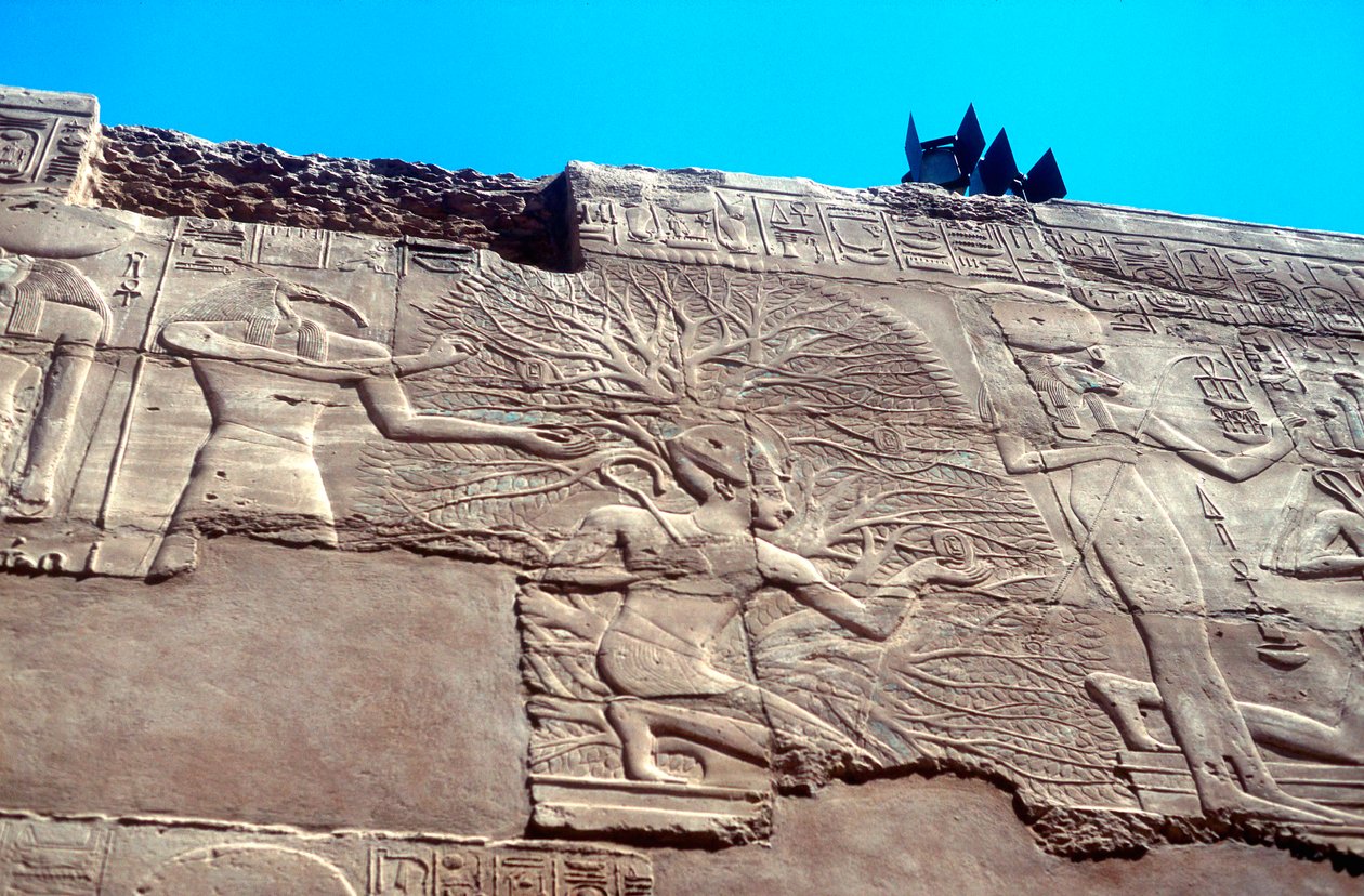 Ramses II ja elämänpuu, Karnak, Egypti, 1200-luku eKr tekijältä Unbekannt