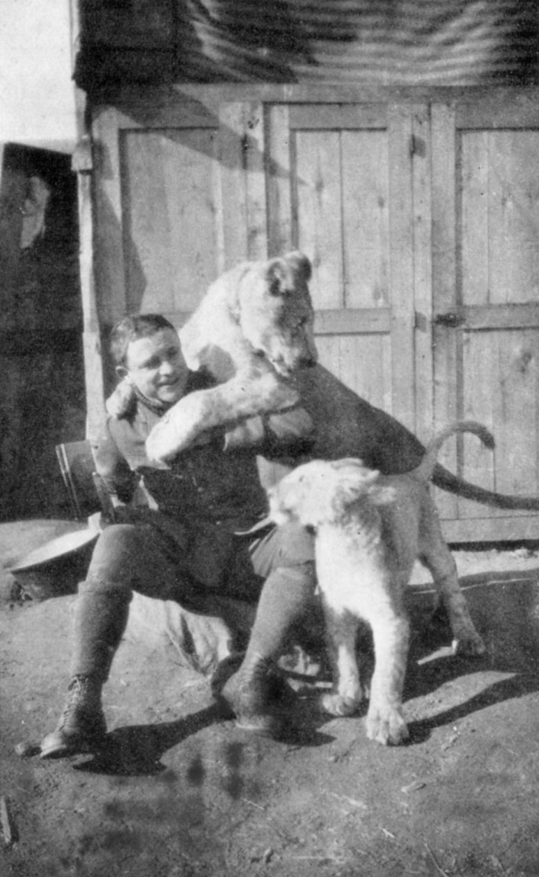 Raoul Lufbery, ranskalais-amerikkalainen hävittäjälentäjä ja lentävä ässä ensimmäisessä maailmansodassa, 1917 tekijältä Unbekannt