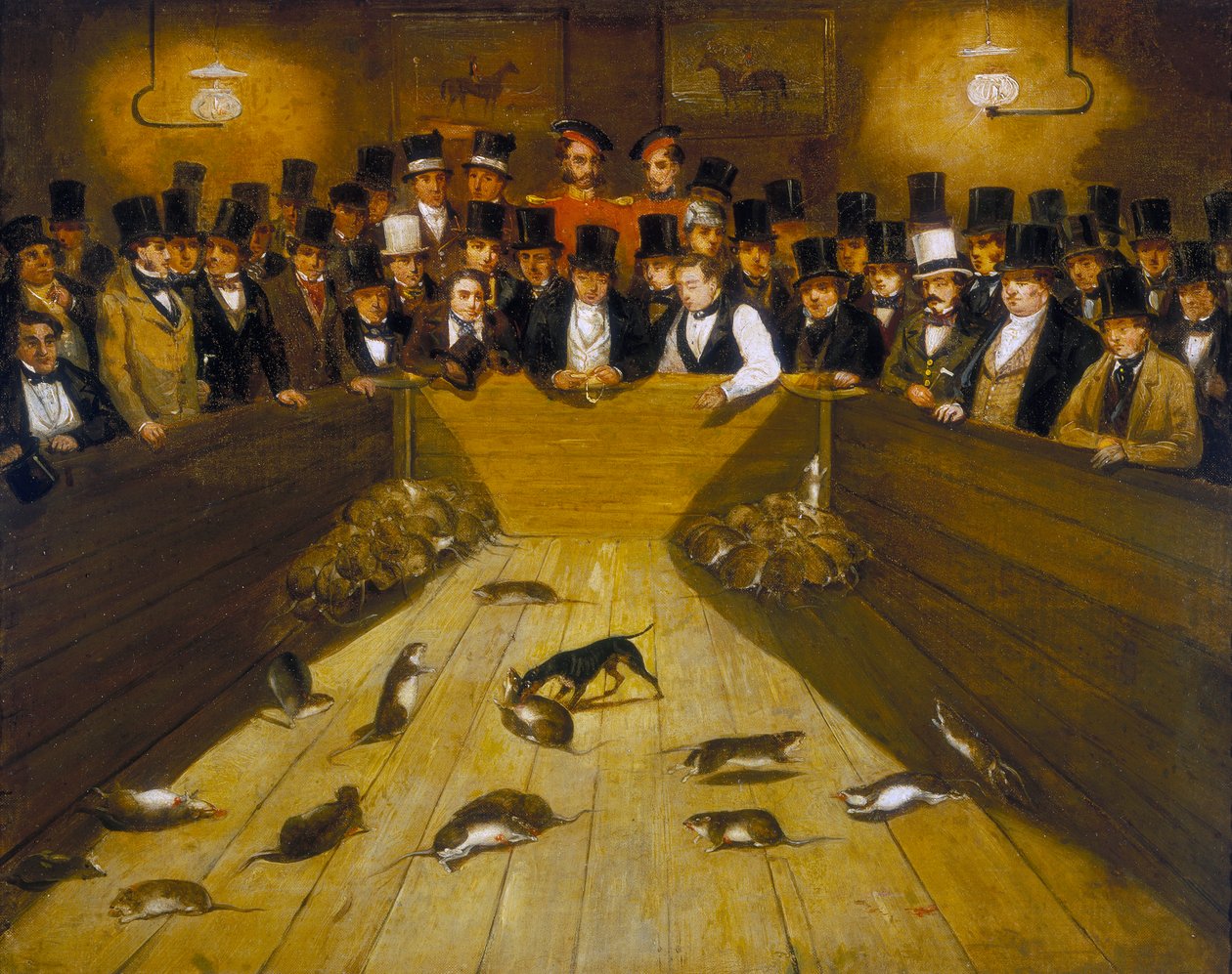 "Rat-Catching at the Blue Anchor Tavern, Bunhill Row, Finsbury", c1850 tekijältä Unbekannt