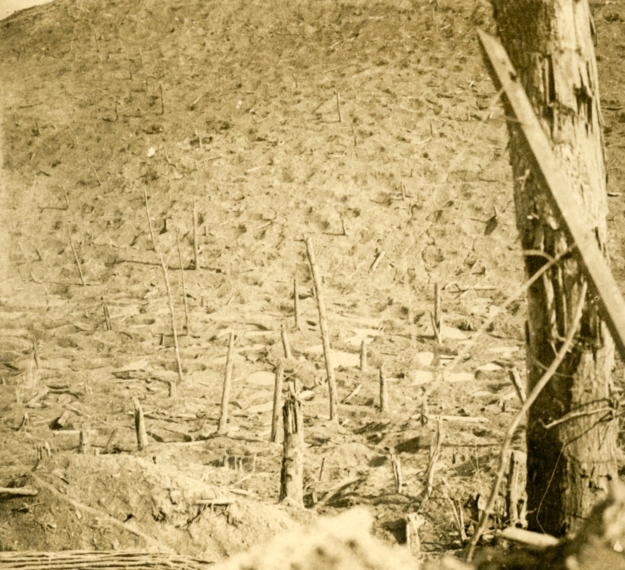 Roko Les Épargesissa, Pohjois-Ranskassa, c1914-c1918. tekijältä Unbekannt