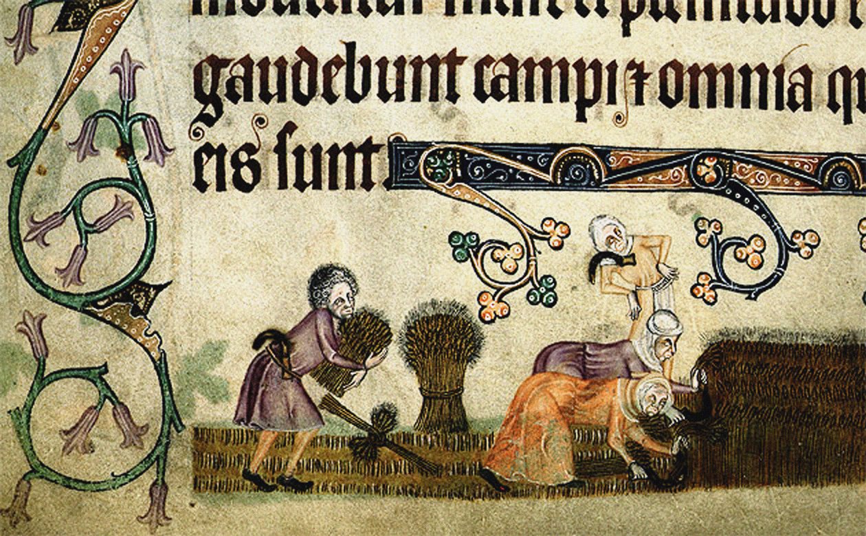 Lyhteiden niitto ja sitominen Luttrell-psalterista, n. 1330 tekijältä Unbekannt
