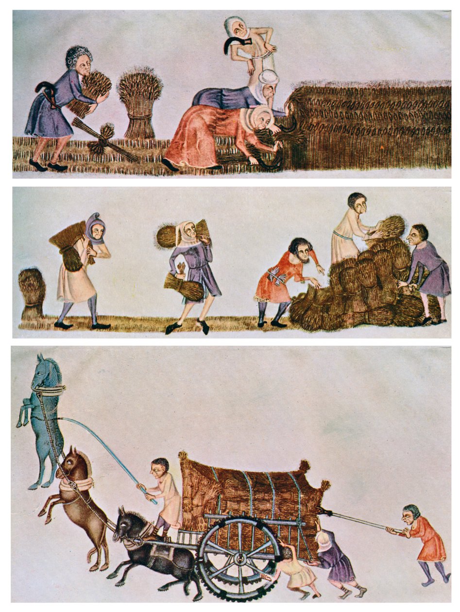 Niitto, kantaminen ja kärryttäminen, c1300-1340, c1900-1920 tekijältä Unbekannt