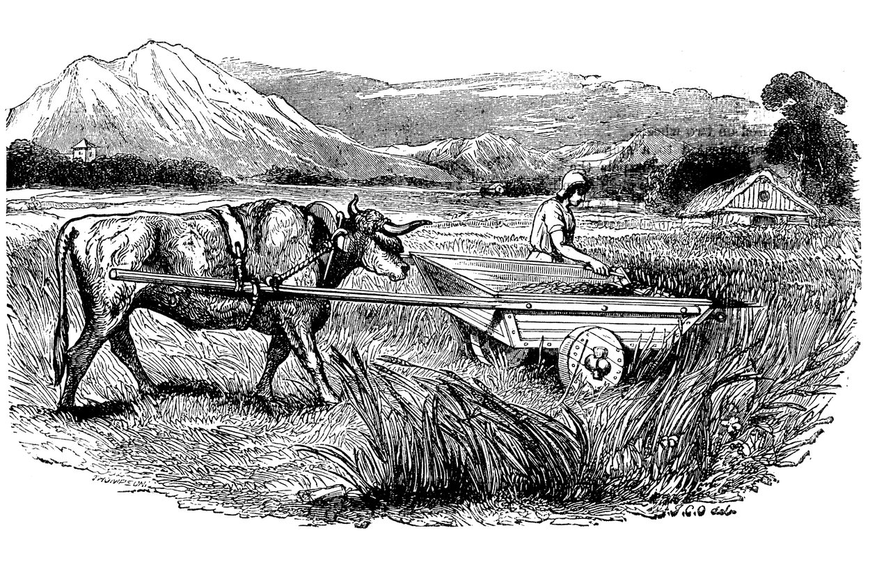 Roomalaisen niittokärryn rekonstruktio, kuten Plinius on kuvannut, Kaiverrus, 1860 tekijältä Unbekannt