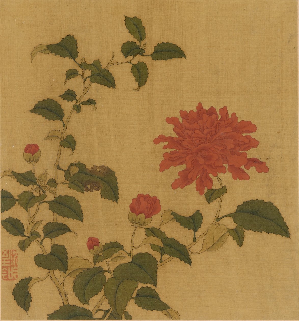 Punainen pioni, Qing-dynastia, 1700-luku. tekijältä Unbekannt