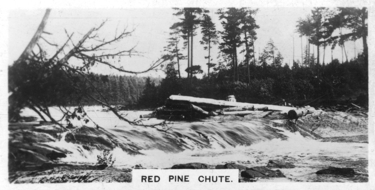 Red Pine Chute, Kanada, 1920-luku tekijältä Unbekannt