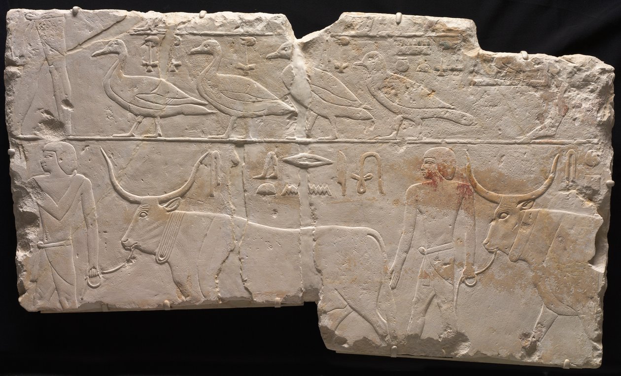 Lintuja ja karjaa tuovien miesten helpotus, n. 2311-2281 eaa. tekijältä Unbekannt