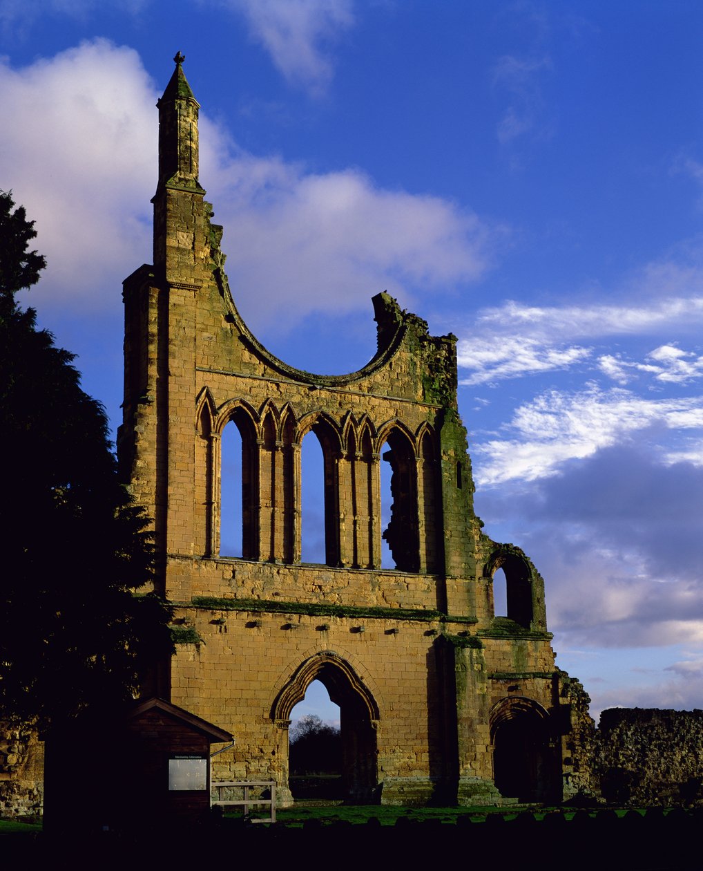 Julkisivun jäänteet, Byland Abbey, North Yorkshire (kuva) tekijältä Unbekannt