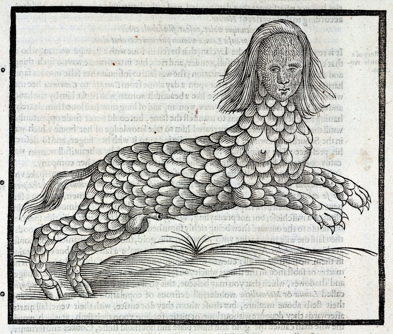 "Representation de la Creature Lamia (Sybaris) Gravure tiree "History of Four-footed Beastes" d