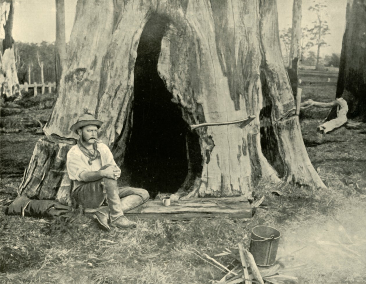 Lepo, 1901. tekijältä Unbekannt