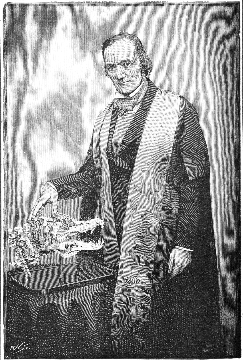 Richard Owen, brittiläinen luonnontieteilijä, 1856 1891 tekijältä Unbekannt