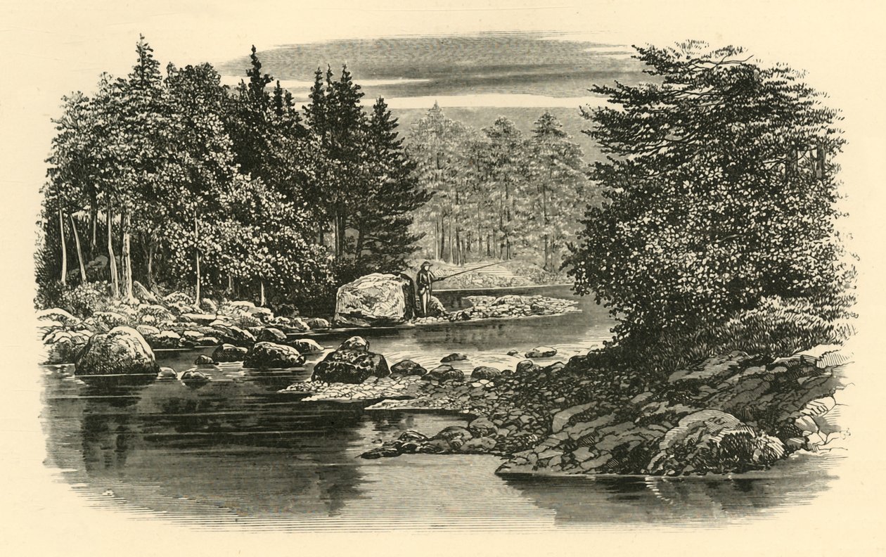 River Scene, Langdale, 1890. tekijältä Unbekannt
