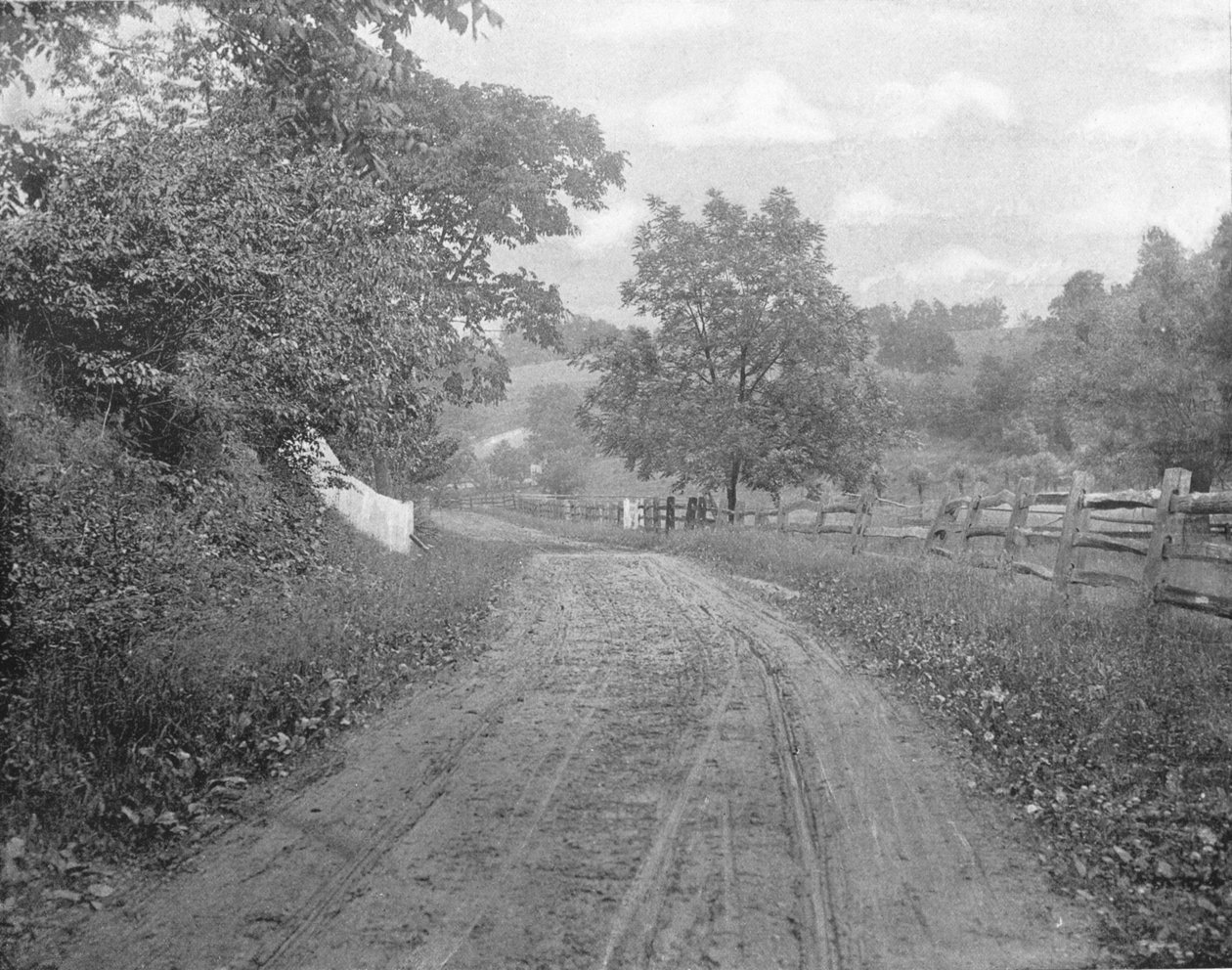 Road Alongside the Brandywine, Pennsylvania, USA, c1900. tekijältä Unbekannt