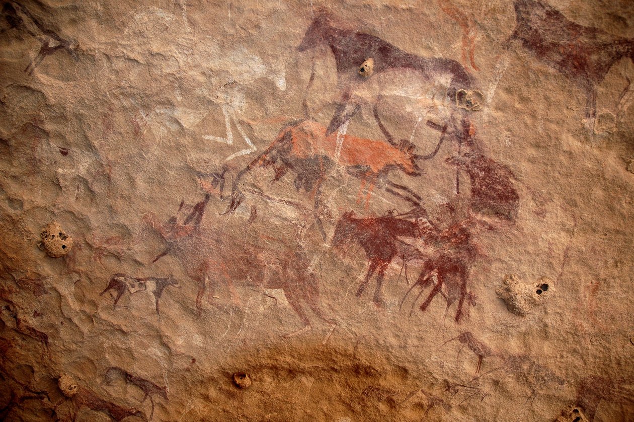 Kalliotaide, esihistoria: Kalliomaalaus karjaryhmästä ja monivärisistä hahmoista (paimenet ja jousimiehet) koristeellisessa suojissa Uweinatin vuoristossa, Sudanissa. Ajanjakso 8000-3000 vuotta eKr. Valokuvaus tekijältä Unbekannt