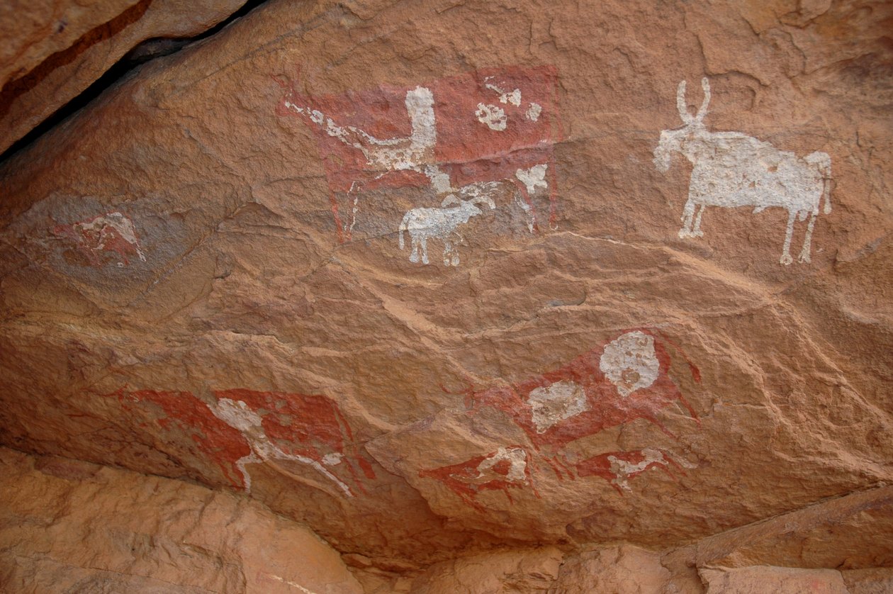 Kalliotaide, esihistoria: Kalliomaalaus karja- ja lampaiden ryhmästä koristeellisessa suojissa Uweinatin vuoristossa, Sudanissa (Karkur-Talh tai Karkur Talh). Ajanjakso 8000-3000 vuotta eaa. Valokuvaus tekijältä Unbekannt