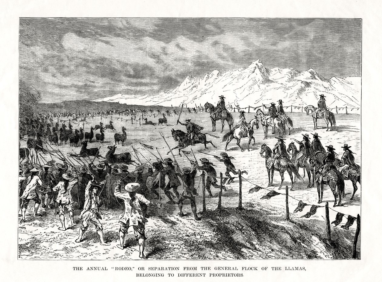 Rodeo, Etelä-Amerikka, 1877 tekijältä Unbekannt