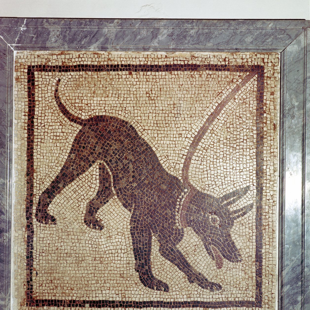 Roomalainen koiran mosaiikki, Cave Canem, Pompei, Italia tekijältä Unbekannt