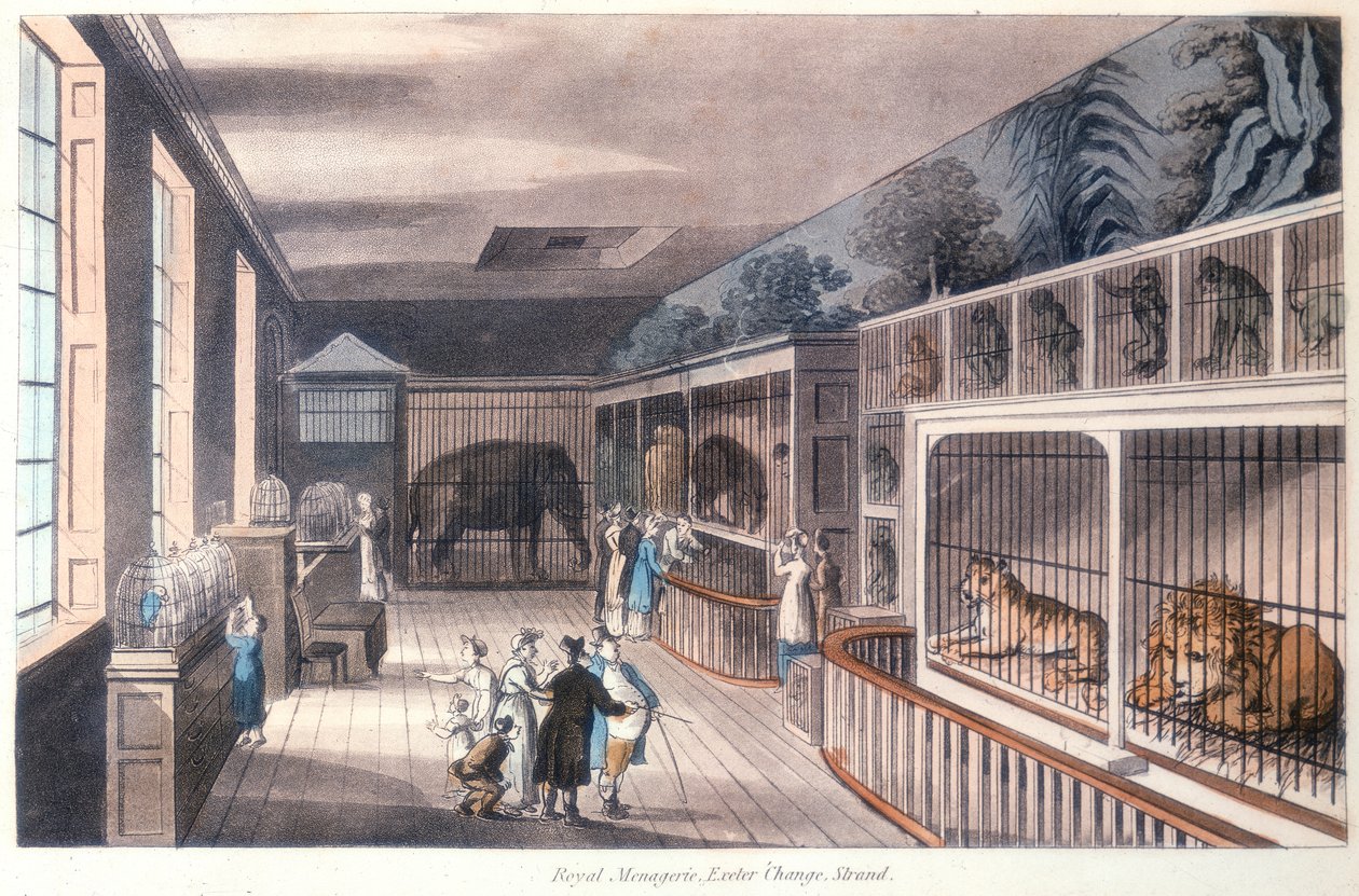 Royal Menagerie, Exeter Change, Strand, Lontoo, c1820 tekijältä Unbekannt