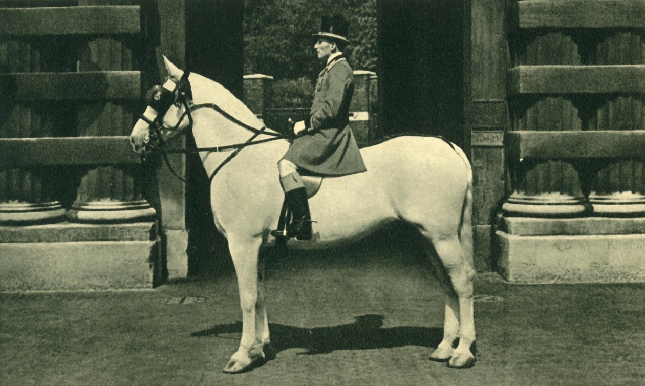 Royal Outrider Scarlet Liveryssä 1950-luvulla. tekijältä Unbekannt