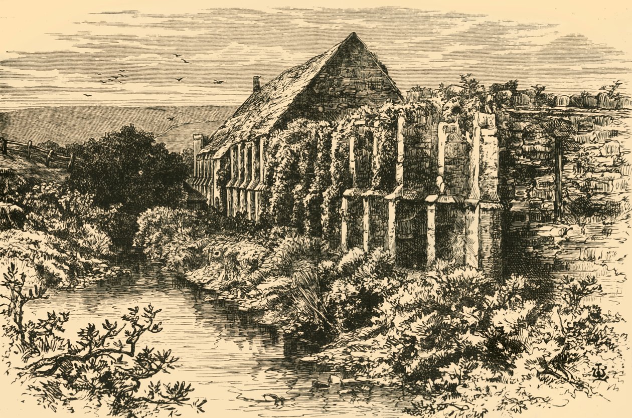 Barnin rauniot, Abbotsbury Abbey, 1898. tekijältä Unbekannt