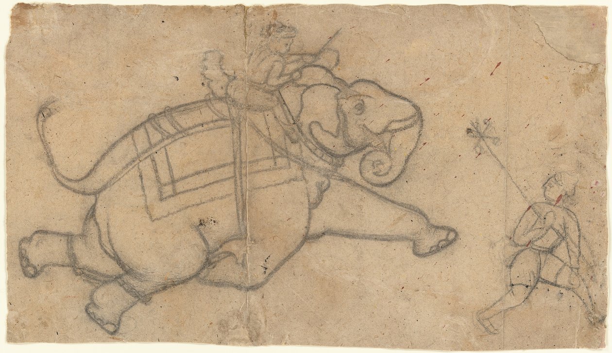 Running Elephant recto, harjoituslehti Elephant Sketches verso, 1700-luvun puoliväli. tekijältä Unbekannt