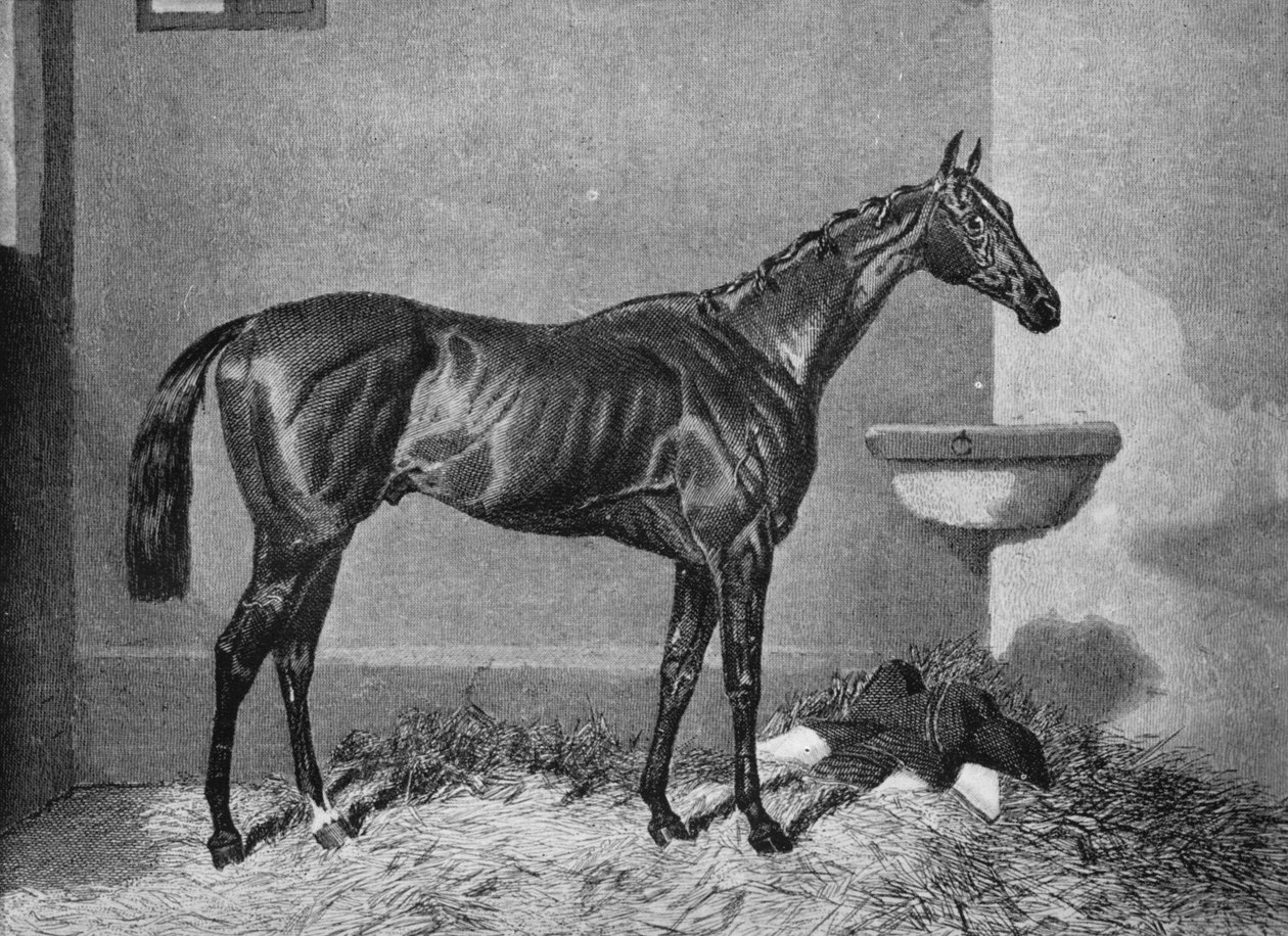 Russborough, 1800-luku, 1911 tekijältä Unbekannt
