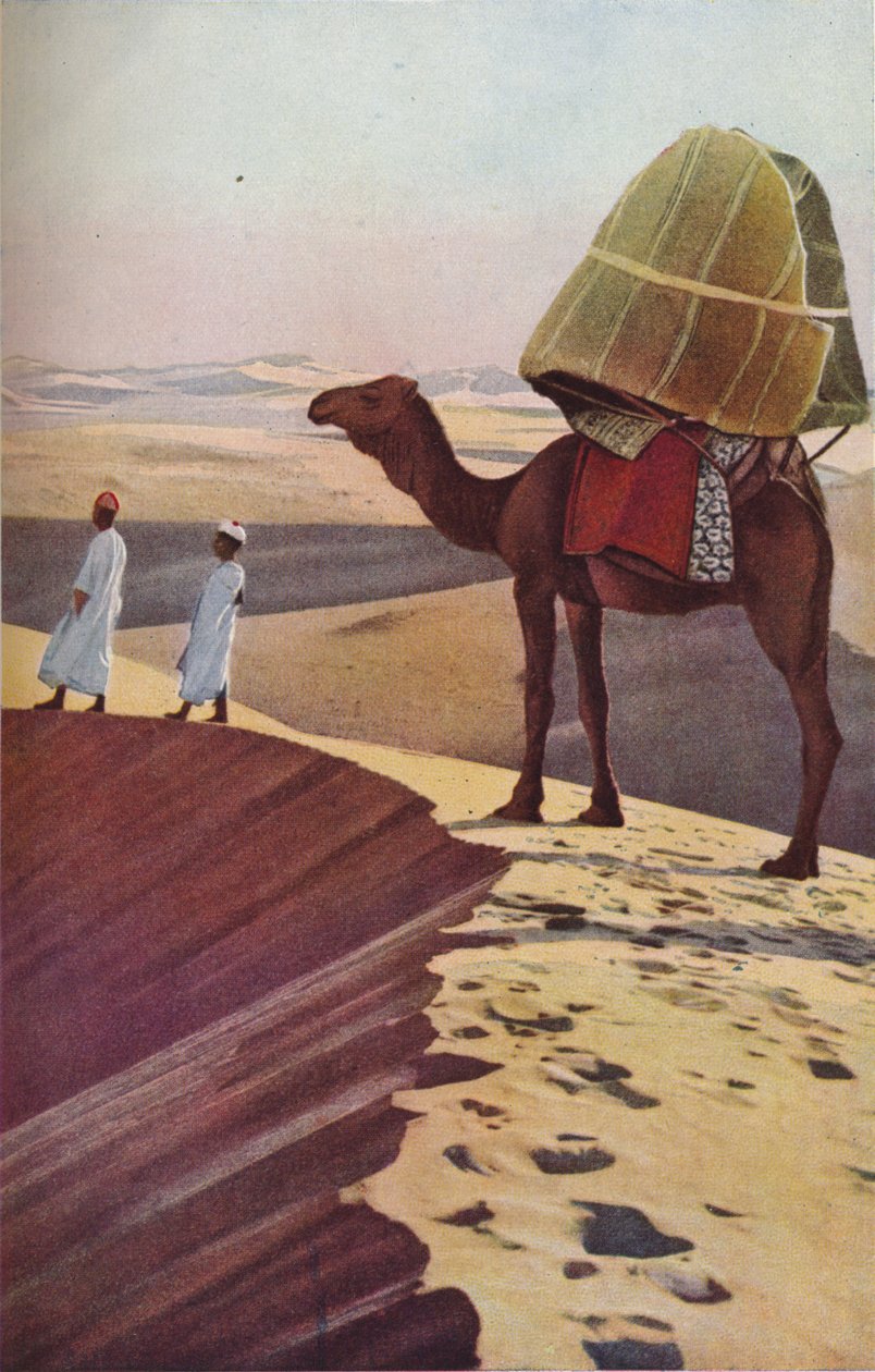 Sahara, 1930-luku tekijältä Unbekannt