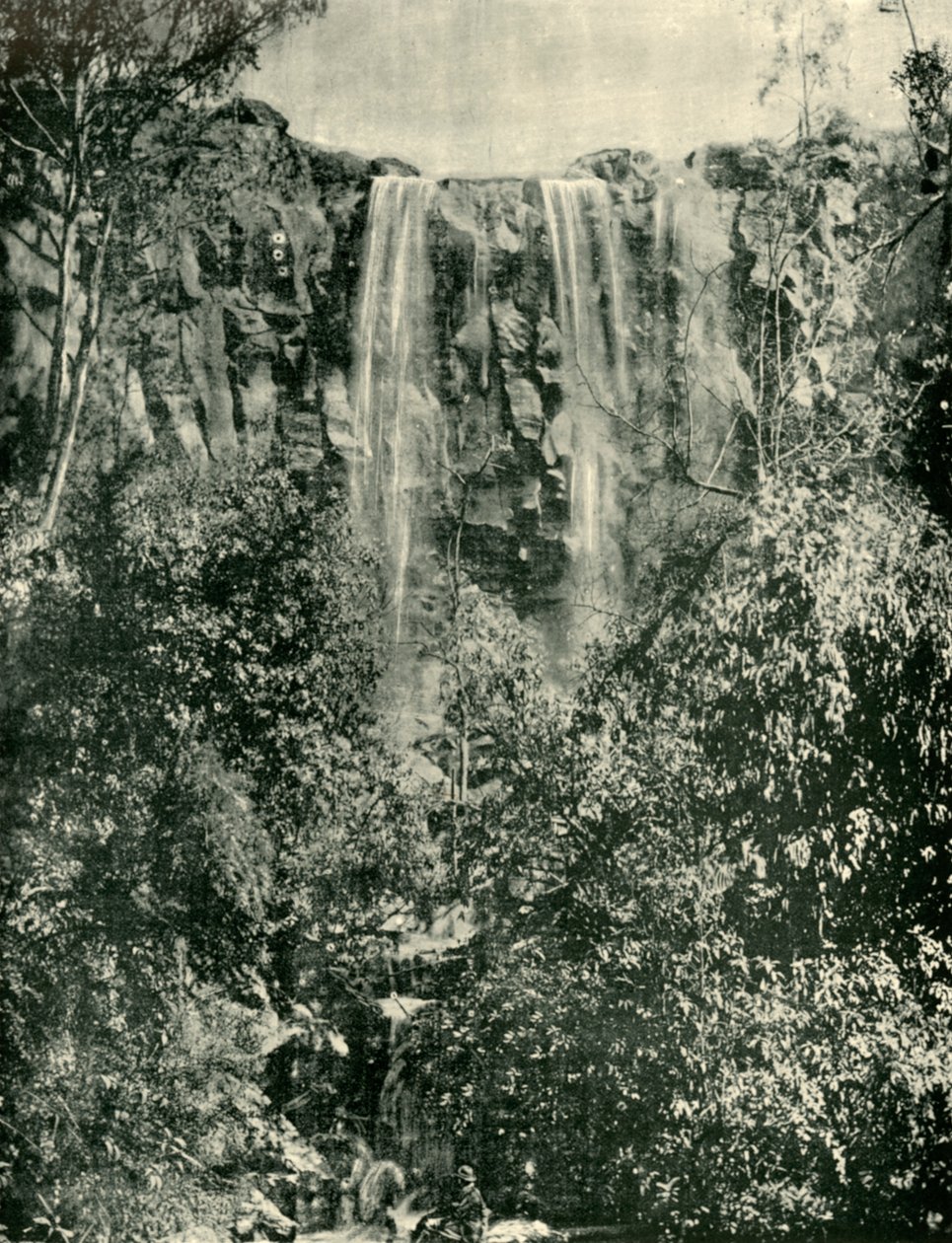 Sailors Creek Falls, Daylesford, 1901. tekijältä Unbekannt