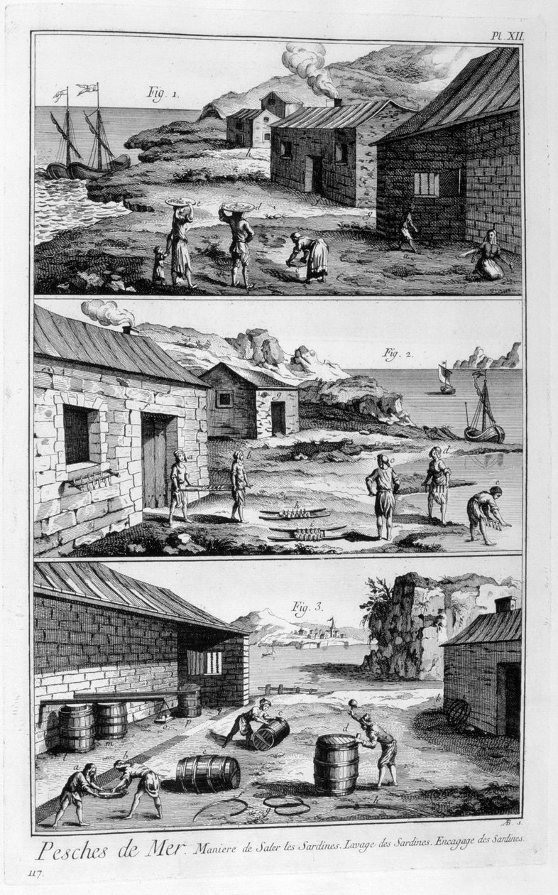 Suolaus, pesu, sardiinien pakkaus, 1751-1777 tekijältä Unbekannt