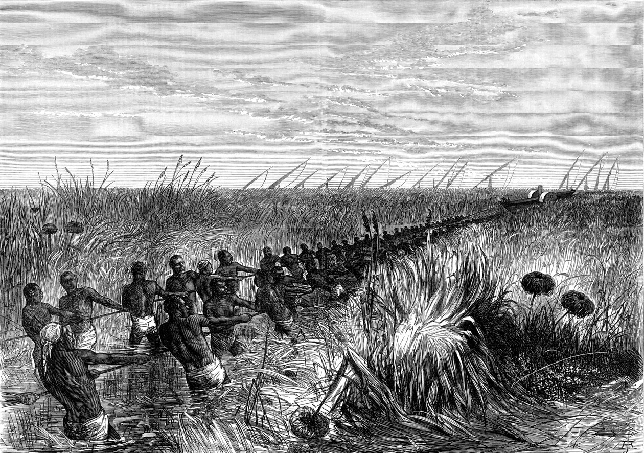Samuel Bakersin vene vedetty joen nurmikolla, 1864 1874 tekijältä Unbekannt