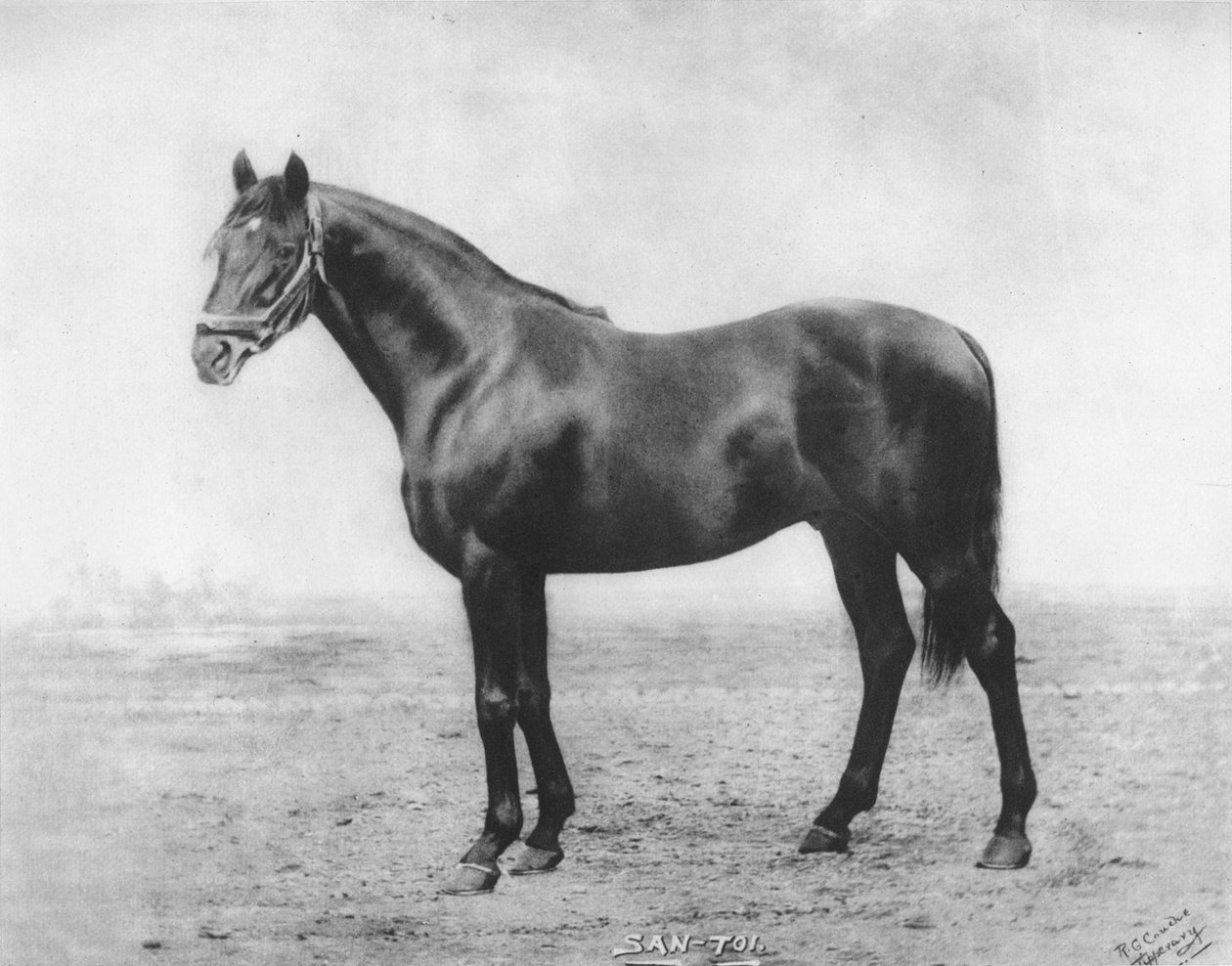 San-Toi, 1911 tekijältä Unbekannt