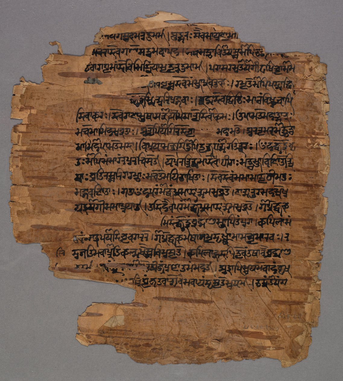Sarada Script, 1600-luku. tekijältä Unbekannt