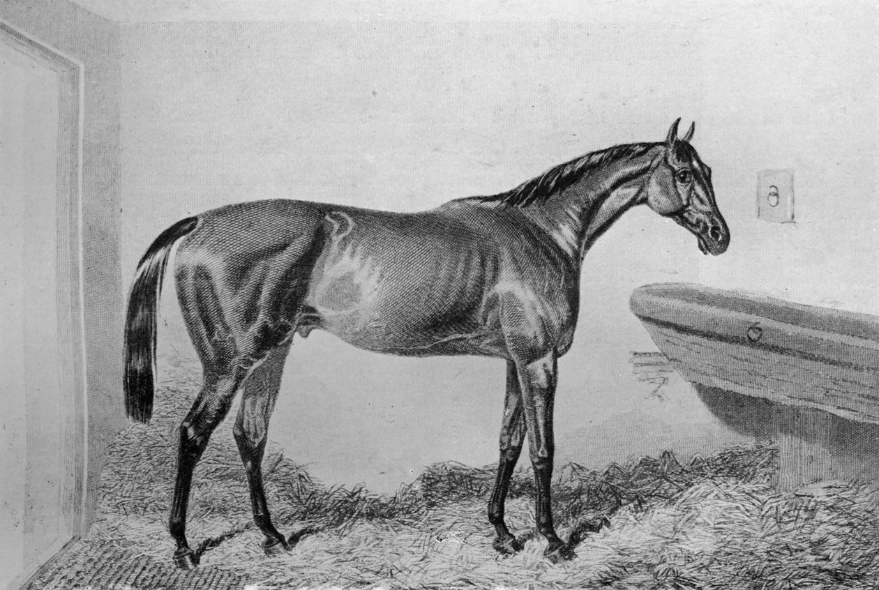 Kastikelaatikko, c1840-1880, 1911 tekijältä Unbekannt