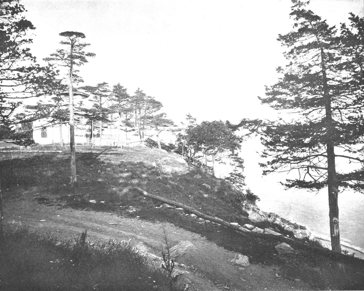 Savin Rock, New Haven, Connecticut, USA, c1900. tekijältä Unbekannt