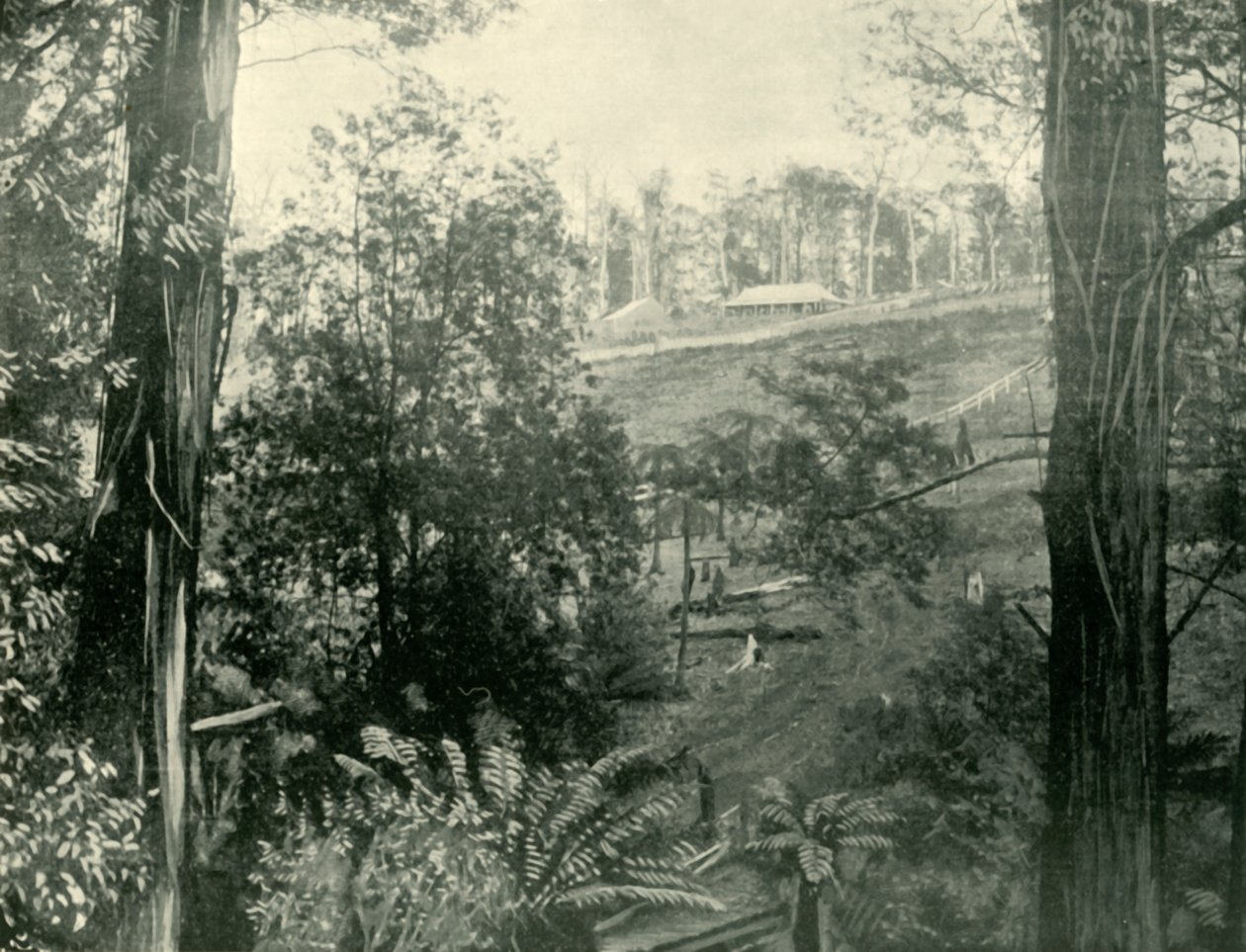 Kohtaus Upper Gembrookissa, Victoriassa, 1901. tekijältä Unbekannt