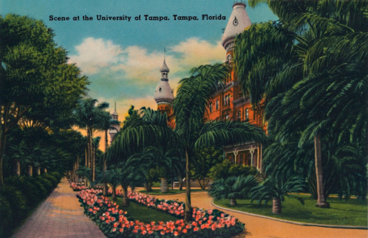 Kohtaus Tampan yliopistossa, Tampa, Florida, 1940-luku tekijältä Unbekannt
