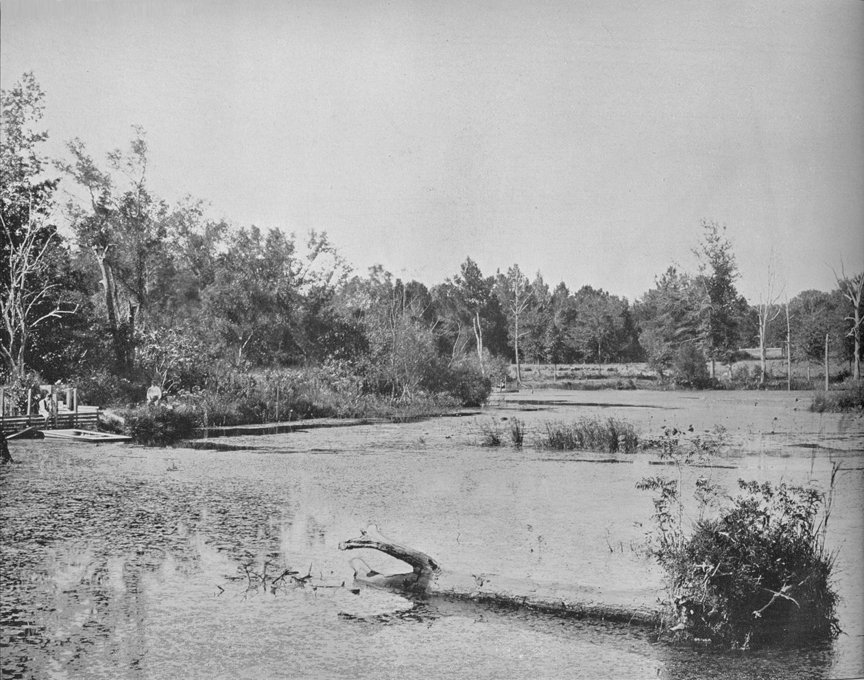 Kohtaus Mississippissä vuonna 1897. tekijältä Unbekannt