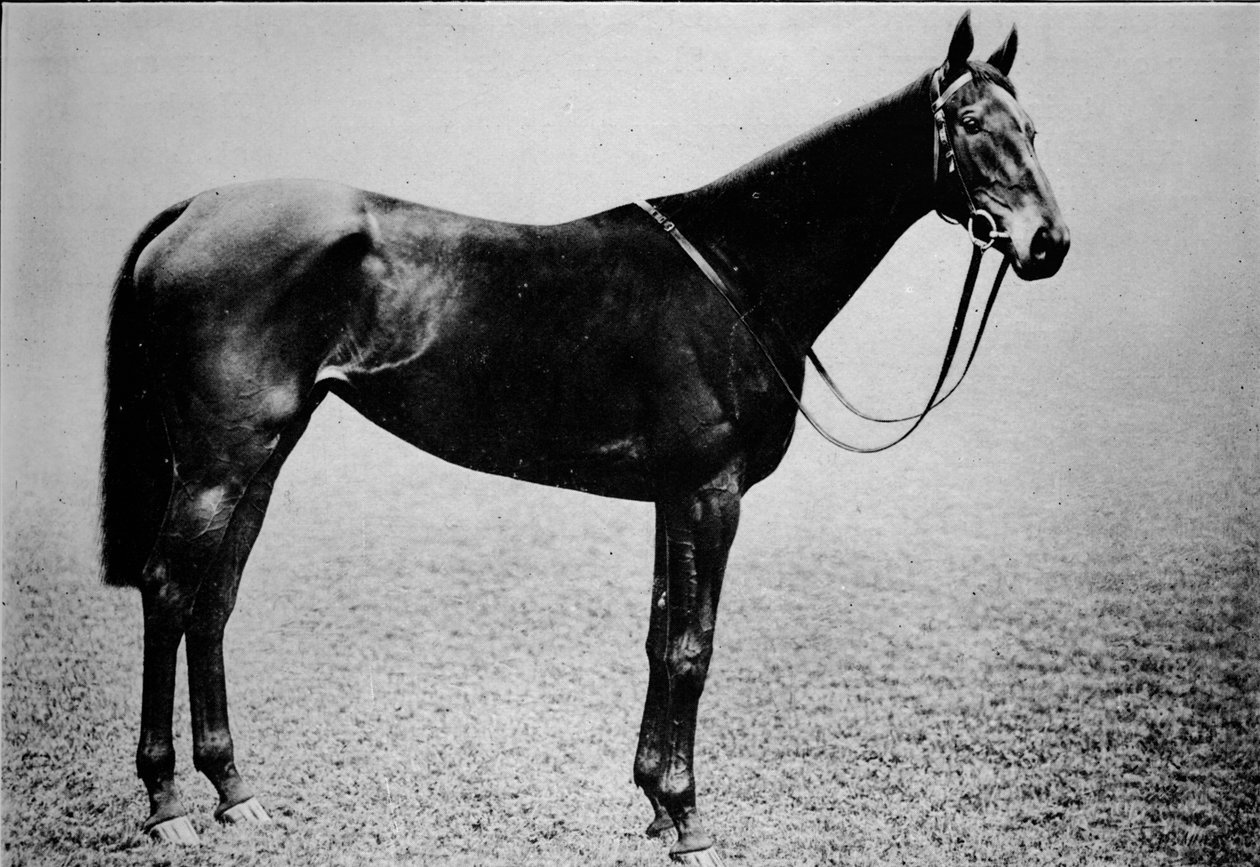 Valtikkaa, 1899-1926, 1911 tekijältä Unbekannt