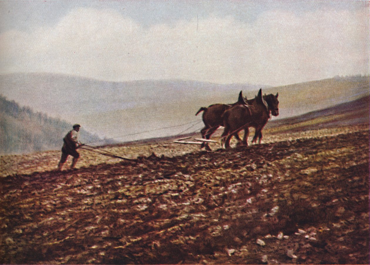 Skotlanti, 1930-luku tekijältä Unbekannt
