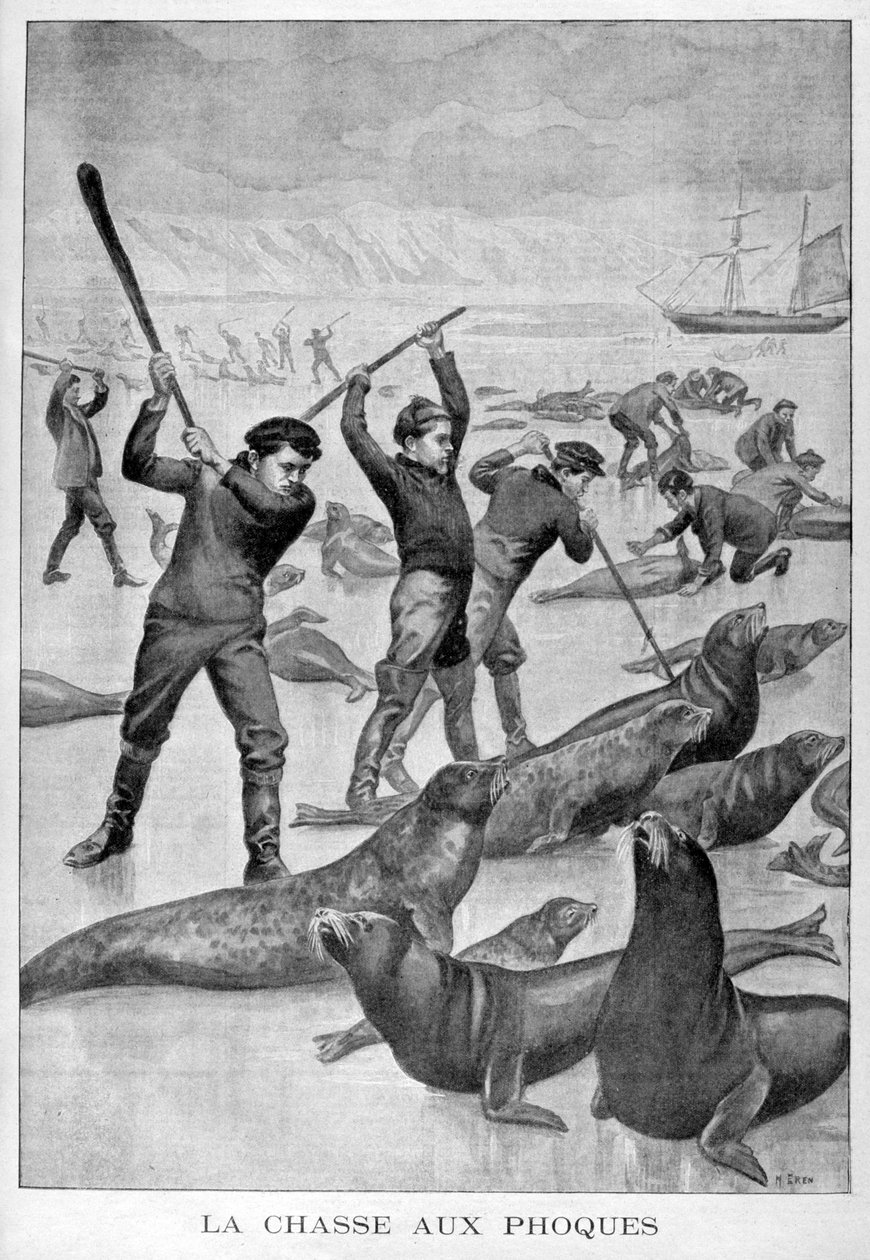 Hylkeenpyynti, Newfoundland, 1902 tekijältä Unbekannt