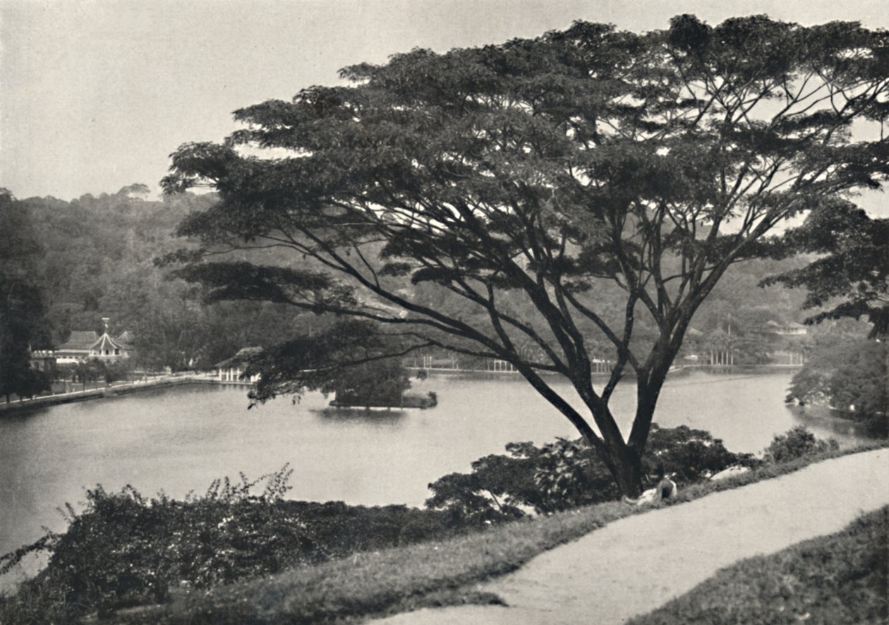 Järvi, Temple of the Sacred Tooth Reed ja kirjasto Kandyssa, katsottuna Victoria Drivesta itään, 192 tekijältä Unbekannt